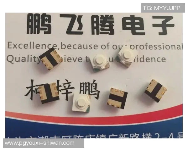 pg52000模拟器-关于pg52000模拟器的深度探讨-pg52000模拟器